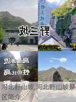 河北野山坡,河北野山坡景区简介-第1张图片-猪头旅行网