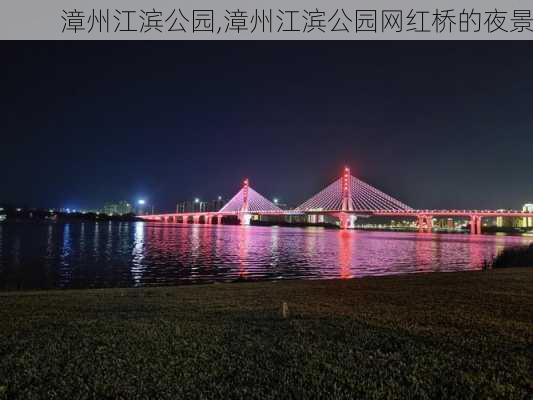 漳州江滨公园,漳州江滨公园网红桥的夜景-第3张图片-猪头旅行网