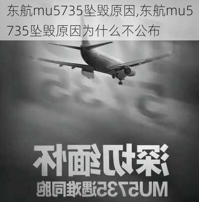 东航mu5735坠毁原因,东航mu5735坠毁原因为什么不公布-第1张图片-猪头旅行网