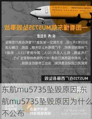 东航mu5735坠毁原因,东航mu5735坠毁原因为什么不公布-第2张图片-猪头旅行网