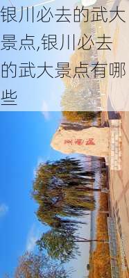 银川必去的武大景点,银川必去的武大景点有哪些-第2张图片-猪头旅行网