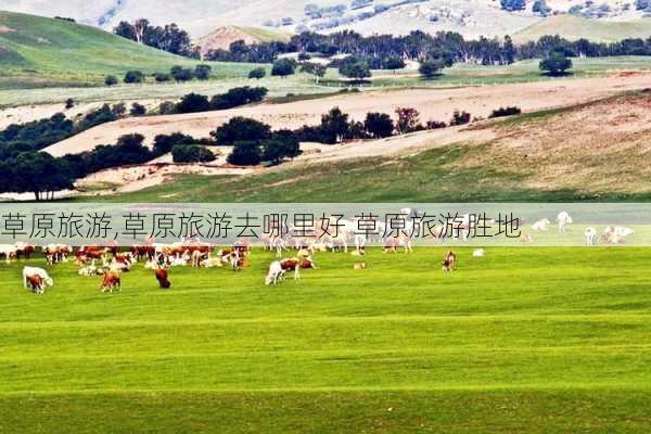 草原旅游,草原旅游去哪里好 草原旅游胜地-第1张图片-猪头旅行网