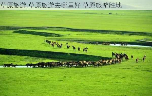 草原旅游,草原旅游去哪里好 草原旅游胜地-第3张图片-猪头旅行网