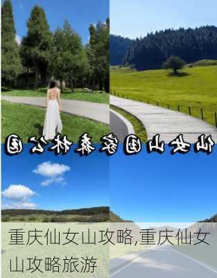 重庆仙女山攻略,重庆仙女山攻略旅游-第2张图片-猪头旅行网