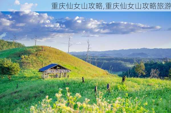 重庆仙女山攻略,重庆仙女山攻略旅游-第3张图片-猪头旅行网