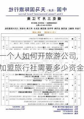 一个人如何开旅游公司,加盟旅行社需要多少资金-第2张图片-猪头旅行网