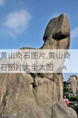 黄山奇石图片,黄山奇石图片大全大图-第3张图片-猪头旅行网