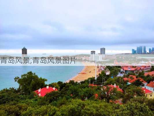 青岛风景,青岛风景图片-第1张图片-猪头旅行网