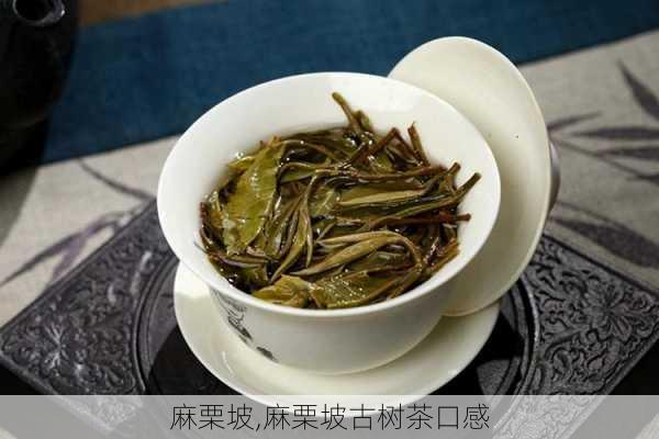 麻栗坡,麻栗坡古树茶口感