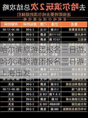 哈尔滨旅游团报名三日游,哈尔滨旅游团报名三日游 上海出发-第3张图片-猪头旅行网