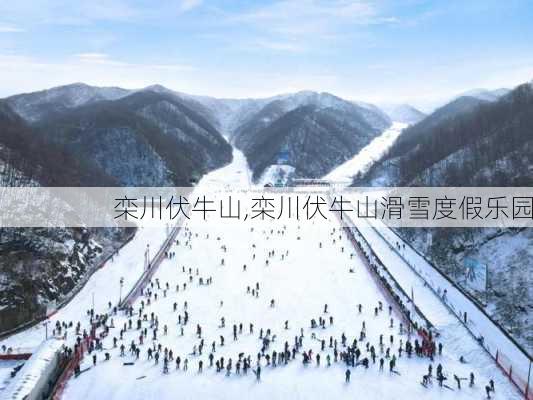 栾川伏牛山,栾川伏牛山滑雪度假乐园-第3张图片-猪头旅行网