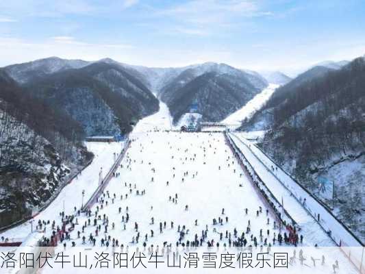 洛阳伏牛山,洛阳伏牛山滑雪度假乐园-第3张图片-猪头旅行网