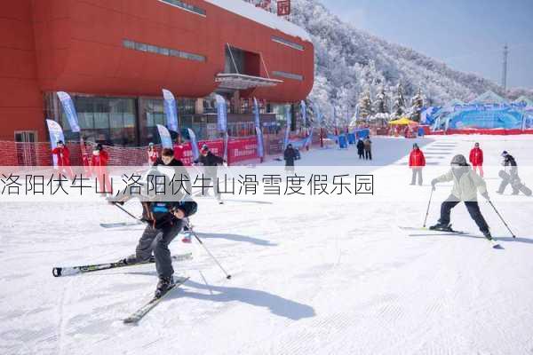 洛阳伏牛山,洛阳伏牛山滑雪度假乐园