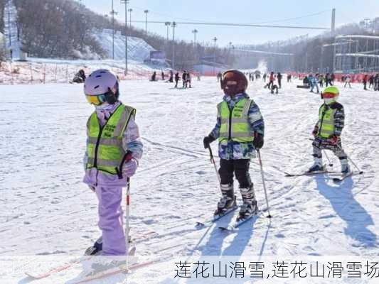 莲花山滑雪,莲花山滑雪场-第2张图片-猪头旅行网