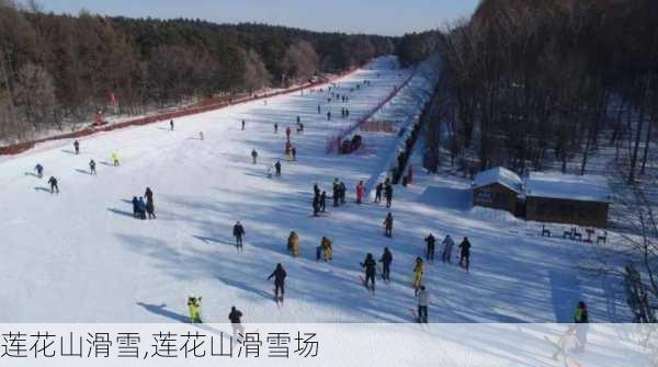 莲花山滑雪,莲花山滑雪场-第3张图片-猪头旅行网