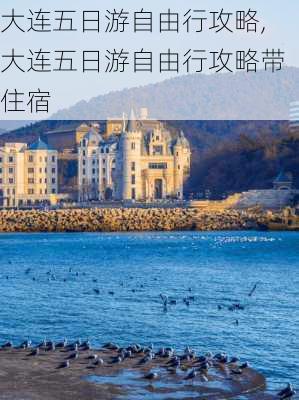 大连五日游自由行攻略,大连五日游自由行攻略带住宿-第1张图片-猪头旅行网