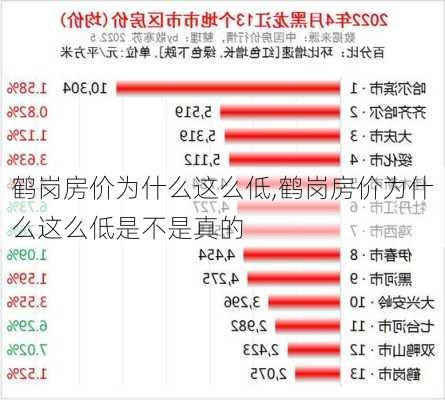 鹤岗房价为什么这么低,鹤岗房价为什么这么低是不是真的-第1张图片-猪头旅行网