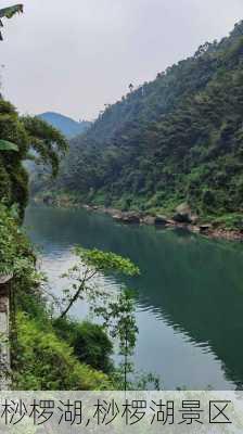 桫椤湖,桫椤湖景区-第1张图片-猪头旅行网