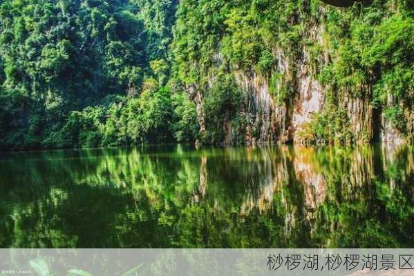 桫椤湖,桫椤湖景区-第2张图片-猪头旅行网