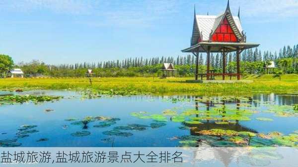 盐城旅游,盐城旅游景点大全排名-第3张图片-猪头旅行网