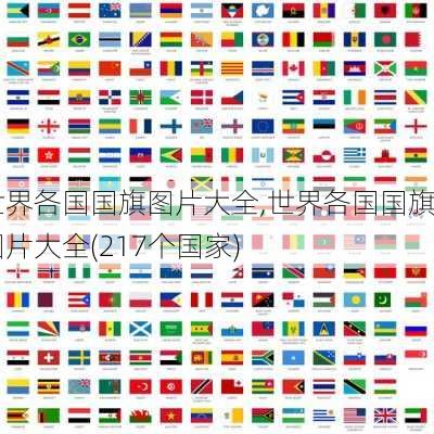 世界各国国旗图片大全,世界各国国旗图片大全(217个国家)-第2张图片-猪头旅行网