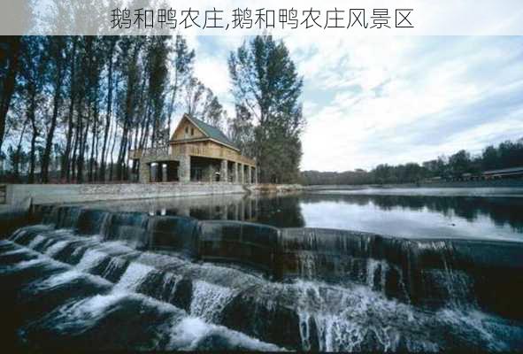 鹅和鸭农庄,鹅和鸭农庄风景区-第2张图片-猪头旅行网