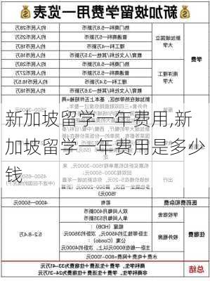 新加坡留学一年费用,新加坡留学一年费用是多少钱-第2张图片-猪头旅行网