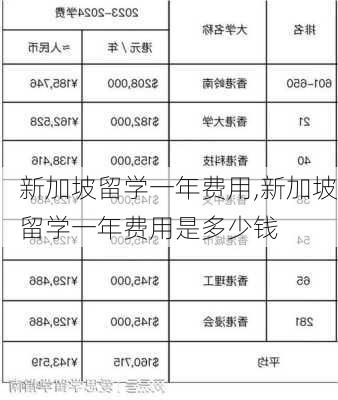 新加坡留学一年费用,新加坡留学一年费用是多少钱-第3张图片-猪头旅行网