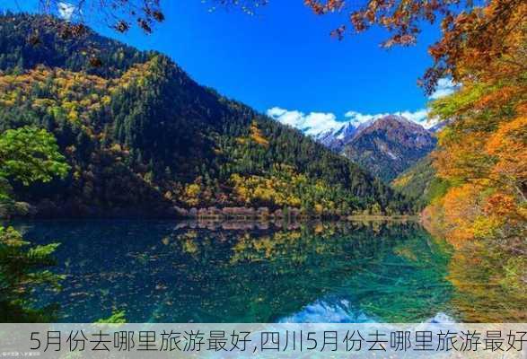 5月份去哪里旅游最好,四川5月份去哪里旅游最好