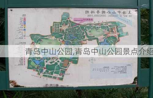 青岛中山公园,青岛中山公园景点介绍