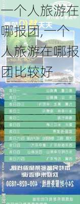 一个人旅游在哪报团,一个人旅游在哪报团比较好-第2张图片-猪头旅行网