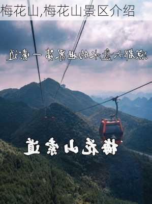 梅花山,梅花山景区介绍-第2张图片-猪头旅行网