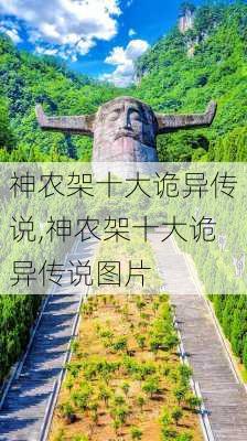 神农架十大诡异传说,神农架十大诡异传说图片-第2张图片-猪头旅行网