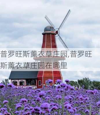 普罗旺斯薰衣草庄园,普罗旺斯薰衣草庄园在哪里