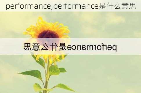 performance,performance是什么意思