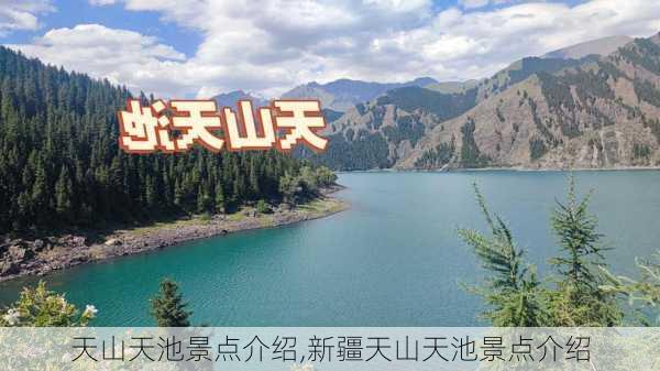 天山天池景点介绍,新疆天山天池景点介绍-第3张图片-猪头旅行网