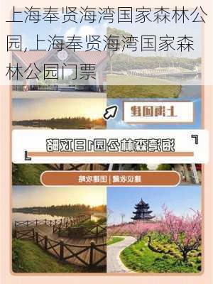 上海奉贤海湾国家森林公园,上海奉贤海湾国家森林公园门票-第2张图片-猪头旅行网