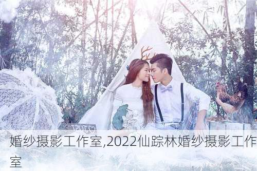 婚纱摄影工作室,2022仙踪林婚纱摄影工作室-第1张图片-猪头旅行网