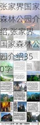 张家界国家森林公园介绍,张家界国家森林公园介绍350字-第2张图片-猪头旅行网