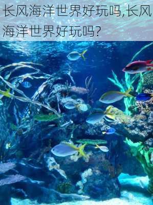 长风海洋世界好玩吗,长风海洋世界好玩吗?-第3张图片-猪头旅行网