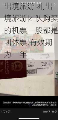 出境旅游团,出境旅游团队购买的机票一般都是团体票,有效期为一年-第1张图片-猪头旅行网