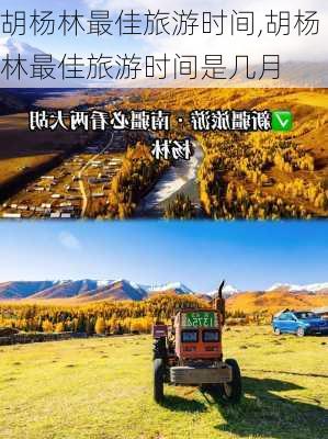 胡杨林最佳旅游时间,胡杨林最佳旅游时间是几月-第3张图片-猪头旅行网