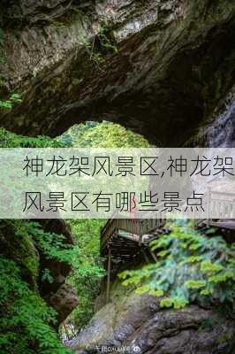 神龙架风景区,神龙架风景区有哪些景点-第3张图片-猪头旅行网