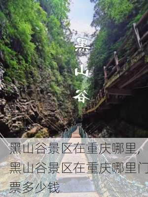 黑山谷景区在重庆哪里,黑山谷景区在重庆哪里门票多少钱-第1张图片-猪头旅行网