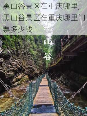 黑山谷景区在重庆哪里,黑山谷景区在重庆哪里门票多少钱-第2张图片-猪头旅行网