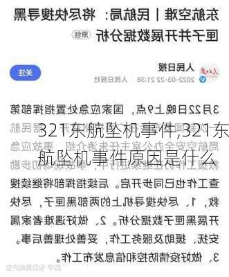 321东航坠机事件,321东航坠机事件原因是什么-第3张图片-猪头旅行网