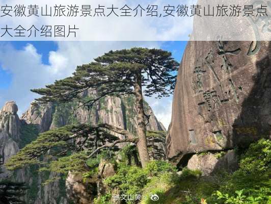 安徽黄山旅游景点大全介绍,安徽黄山旅游景点大全介绍图片-第3张图片-猪头旅行网