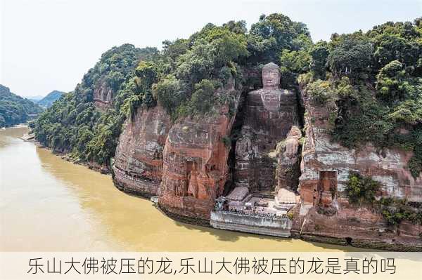 乐山大佛被压的龙,乐山大佛被压的龙是真的吗-第2张图片-猪头旅行网