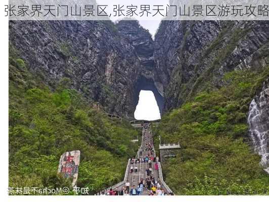 张家界天门山景区,张家界天门山景区游玩攻略-第2张图片-猪头旅行网