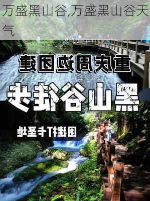 万盛黑山谷,万盛黑山谷天气-第3张图片-猪头旅行网